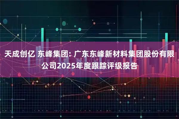 天成创亿 东峰集团: 广东东峰新材料集团股份有限公司2025年度跟踪评级报告