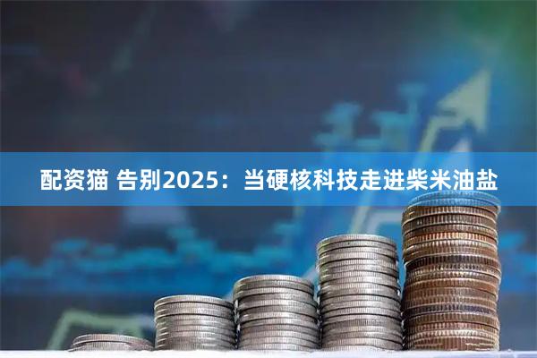 配资猫 告别2025:当硬核科技走进柴米油盐